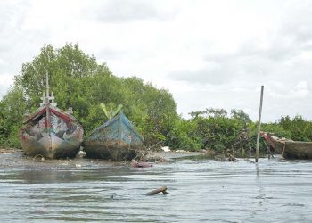 Ayobantu Gelar Kampanye Pelestarian Hutan Mangrove
