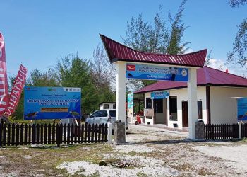 Daihatsu Ajak Masyarakat Lestarikan Penyu Lewat Berbagi Konten  di Media Sosial
