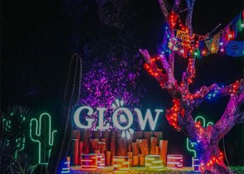 Pendapatan DYAN Tumbuh 8% pada Q2-2021