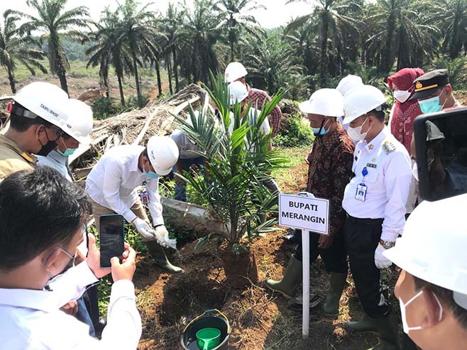 Sinar Mas Lakukan Peremajaan Sawit Rakyat Seluas 54 Hektar di Wilayah Kabupaten Merangin, Jambi