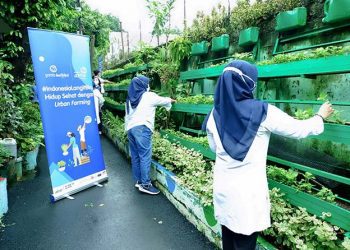 Wujudkan #IndonesiaLangitBiru dengan Mulai Hidup Sehat melalui Aktivitas Urban Farming