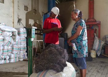 Koltiva Umumkan Oversubscribed Pendanaan untuk Kembangkan Kapabilitas Transparansi di Sektor Agrikultur