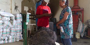 Koltiva Umumkan Oversubscribed Pendanaan untuk Kembangkan Kapabilitas Transparansi di Sektor Agrikultur