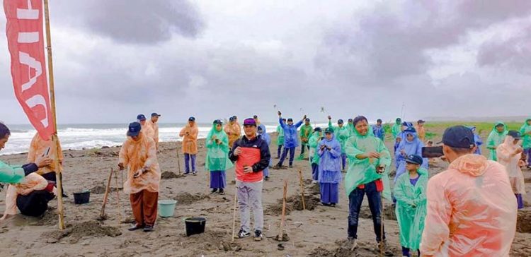 Daihatsu Terus Perkuat Kolaborasi Pelestarian Penyu Bersama Pemerintah dan Masyarakat