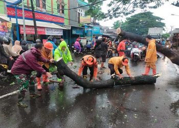 Serda Husen Babinsa Kodim 0602/Serang, Bersihkan Pohon Tumbang Bersama  BPBD Kota Serang