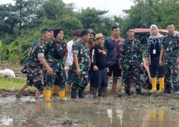 Dandim 0602/Serang Tinjau Lahan Demplot Ketahanan Pangan