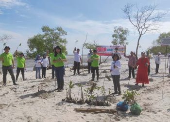 Mengurangi Emisi CO2 dan Mencegah Abrasi Pantai, Auto2000 Dukung SDG Melakukan Penanaman Bibit Pohon Mangrove