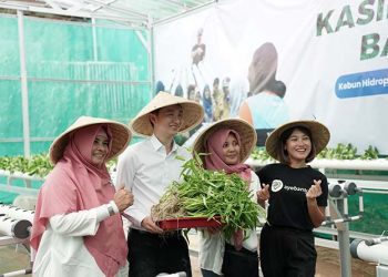 Sambut Ulang Tahun yang Ke-9, Indodax Budidayakan Kebun Hidroponik