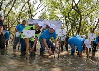 Jaga Kelangsungan Lingkungan Hidup, Asuransi Astra Tanam 5.000 Bibit Pohon Mangrove di Surabaya