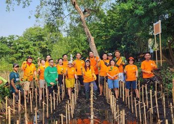 FIFGROUP Ajak Karyawan Peduli Pesisir dan Pantai untuk Tanam Mangrove
