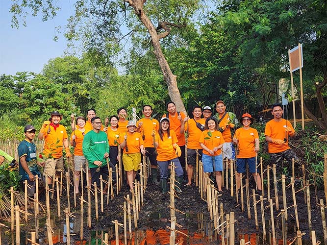 FIFGROUP Ajak Karyawan Peduli Pesisir dan Pantai untuk Tanam Mangrove