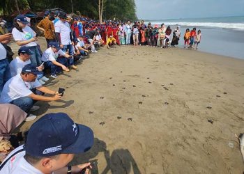 Daihatsu Rayakan Capaian Produksi ke-8 Juta Unit Lewat Penyu Untuk Indonesia di Padang