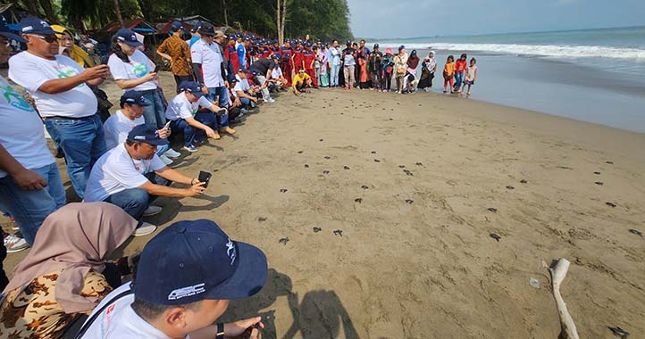Daihatsu Rayakan Capaian Produksi ke-8 Juta Unit Lewat Penyu Untuk Indonesia di Padang