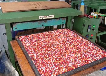 Yayasan WINGS Peduli Kolaborasikan Sektor Pendidikan dan Lingkungan untuk Kelola Sampah Plastik