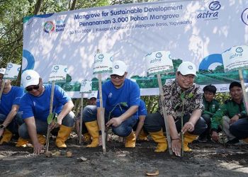 Cegah Abrasi di Yogyakarta, Asuransi Astra Tanam 3.000 Pohon Mangrove
