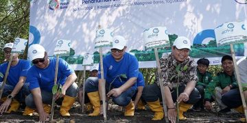 Cegah Abrasi di Yogyakarta, Asuransi Astra Tanam 3.000 Pohon Mangrove