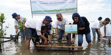 Penanaman Donasi 1.000 Pohon Pelanggan Garda Oto di KBA Pulau Pramuka