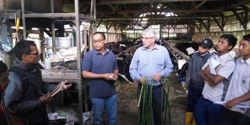Proyek Sepuluh Tahun Dairy4Development di Indonesia Berhasil Diselesaikan