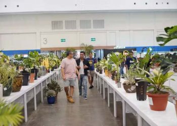 FLOII Expo 2024 Catatkan Transaksi Lelang Tanaman Hias Sebesar Rp137 Juta