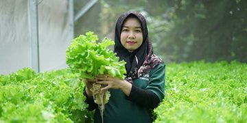 Sharp Hydro Heroes Sukses Ciptakan Petani Muda Berkelanjutan