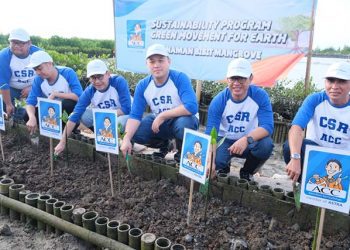 Dukung Keberlanjutan, ACC Tanam Mangrove di Bali
