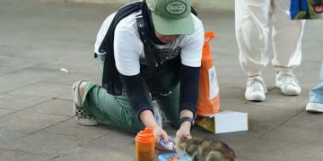 Jakarta International Pet Show (JIPS) 2025: Goes To Street Feeding Nusantara At TMII