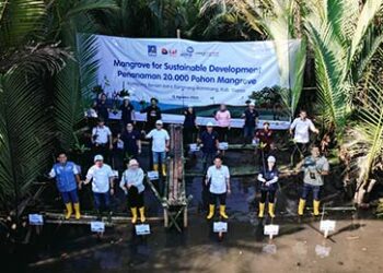 Kurangi Emisi, Astra Group dan Kalla Toyota Tanam 20.000 Bibit Mangrove di KBA Rammang-Rammang, Maros