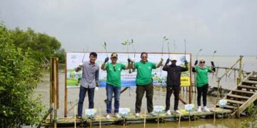 Rayakan HUT ke-35, Adira Finance Lestarikan Lingkungan Melalui Penanaman 350 Mangrove di Karawang