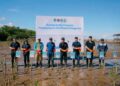 ACC Tanam 5.000 Mangrove di Kalimantan Barat, Aksi Hijau Sekaligus Dukung UMKM Lokal