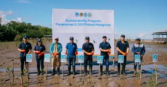 ACC Tanam 5.000 Mangrove di Kalimantan Barat, Aksi Hijau Sekaligus Dukung UMKM Lokal
