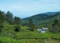 Data Pencarian Agoda Tunjukan Peningkatan Minat Wisata di Kawasan Sejuk pada Musim Pancaroba