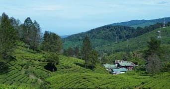 Data Pencarian Agoda Tunjukan Peningkatan Minat Wisata di Kawasan Sejuk pada Musim Pancaroba