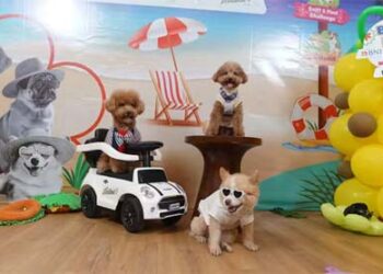 JIPS 2026 Hadirkan K9, Cat Warrior hingga Agility Show yang Unik Bikin Antusiasme Pecinta Anabul Membludak