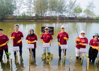 Suzuki Perkuat Greenbelt Pesisir Pangandaran, 1.500 Mangrove Mulai Ditumbuhkan