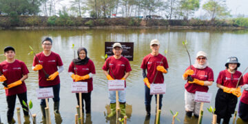 Suzuki Perkuat Greenbelt Pesisir Pangandaran, 1.500 Mangrove Mulai Ditumbuhkan